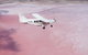 Pink Lake + Abrolhos Islands Nature Tour - thumb 3