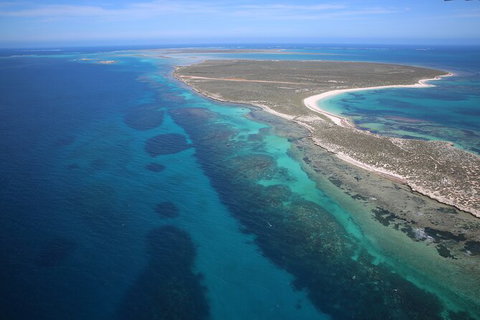 Pink Lake + Abrolhos Islands Scenic Flight - Attractions Melbourne 4
