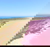 Pink Lake  Abrolhos Islands Scenic Flight - Attractions Melbourne
