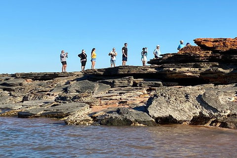 Scenic And Prehistoric Boat Tour - Attractions Melbourne 18