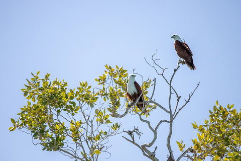 Scenic And Prehistoric Boat Tour - Attractions Melbourne 6