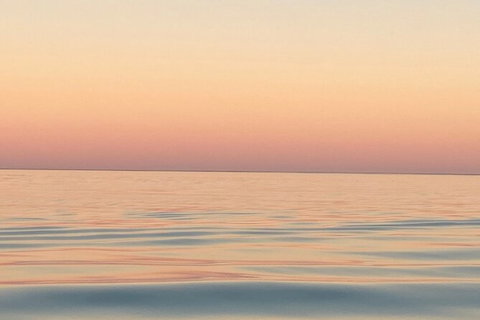 Scenic And Prehistoric Boat Tour - Attractions Melbourne 11