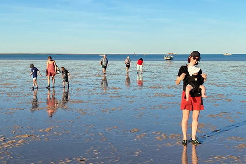 Scenic And Prehistoric Boat Tour - Attractions Melbourne 10