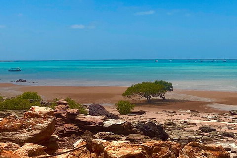 Scenic And Prehistoric Boat Tour - Attractions Melbourne 8