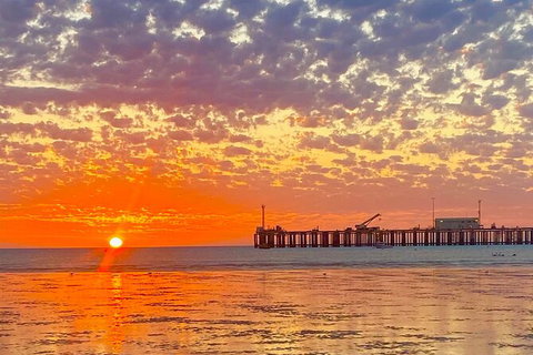 Scenic And Prehistoric Boat Tour - Attractions Melbourne 2