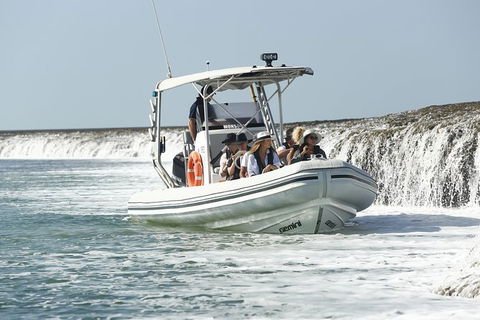 Cygnet Bay Explorer - Attractions Melbourne 8