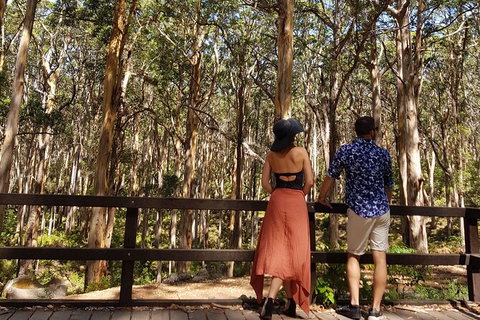 Private Tour Margaret River - Attractions Melbourne 7