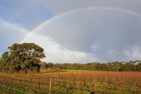 Private Tour Margaret River - Attractions Melbourne 5