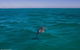 Ningaloo Immersion Private Charter - thumb 1