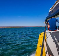 Ningaloo Immersion Private Charter - Attractions Melbourne