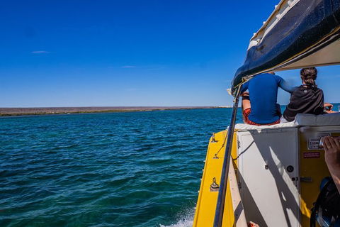 Ningaloo Immersion Private Charter - Attractions Melbourne 0