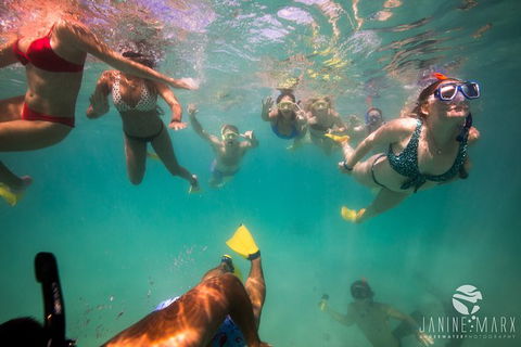Ningaloo Immersion Private Charter - Attractions Melbourne 8