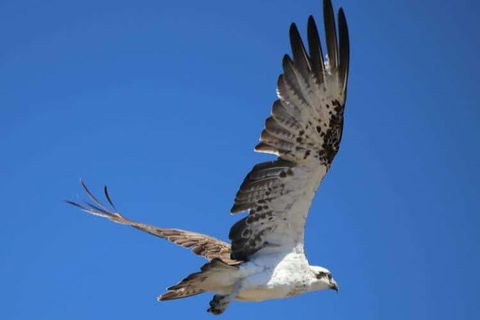 Romance Aircraft Flight + Scenic Tour + 3 Course Lunch + Beer Tasting + Hamper - Attractions Melbourne 4