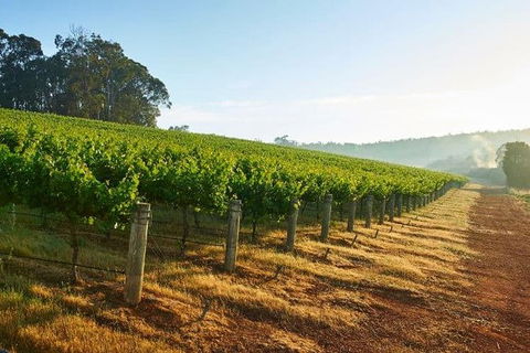 Botanical Gardens, Winery And Scenic Full Day Tour - Attractions Melbourne 2