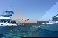 Book Fremantle Accommodation Vacations Attractions Melbourne Attractions Melbourne