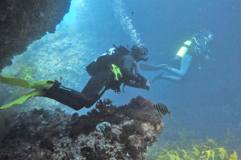 Single Boat Dive - Attractions Melbourne 2