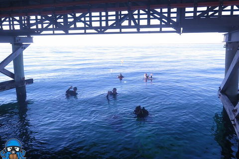 PADI Open Water Course - Attractions Melbourne 3