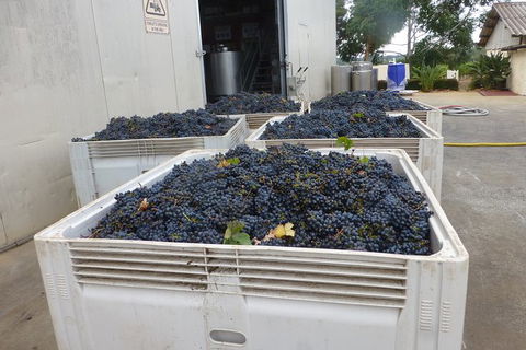 A Taste Of Margaret River Luxury Wine Tour - Attractions Melbourne 3