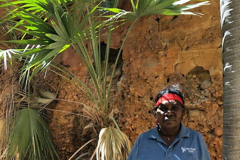 Bungles Day Trek Extended (with Echidna Chasm) - Attractions Melbourne 2