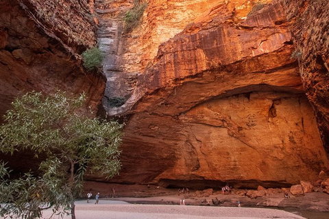Bungles Day Trek Extended (with Echidna Chasm) - Attractions Melbourne 0