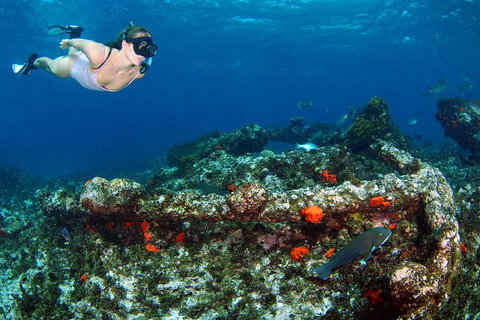Abrolhos Islands 5 Day Tours - Attractions Melbourne 3