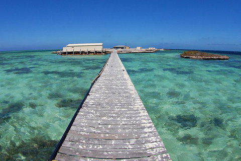 Abrolhos Islands 5 Day Tours - Attractions Melbourne 4