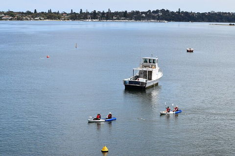 Cliffs And Caves Kayak Tour In Swan River - Attractions Melbourne 5