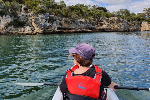 Cliffs And Caves Kayak Tour In Swan River - Attractions Melbourne 1