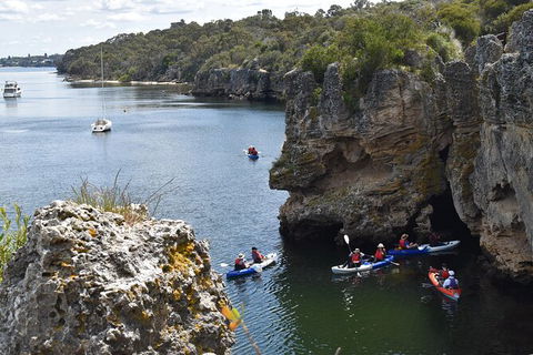 Cliffs And Caves Kayak Tour In Swan River - Attractions Melbourne 2