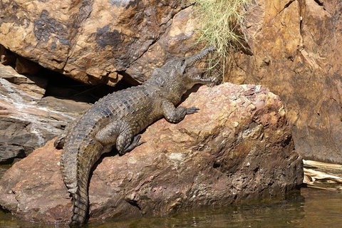 Ord River Experience With Riverside Lunch - Attractions Melbourne 2