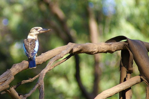 Ord River Experience With Riverside Lunch - Attractions Melbourne 1