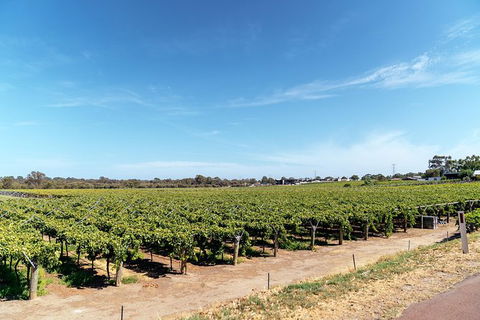 The Non-Touristy Swan Valley Private Day Trip & Wine Tastings - Attractions Melbourne 3
