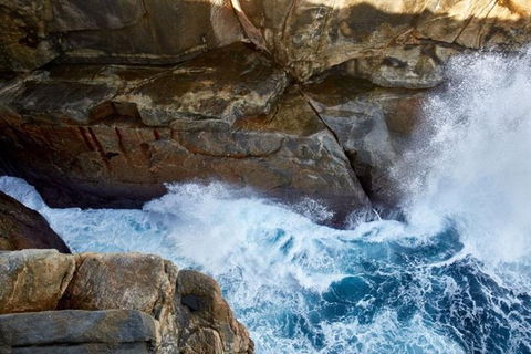 Discover Torndirrup National Park: The Gap & Natural Wonders Tour - Attractions Melbourne 4