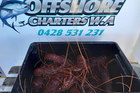 Lobster Fishing Tour At Geraldton - Attractions Melbourne 0
