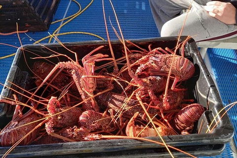 Lobster Fishing Tour At Geraldton - Attractions Melbourne 6