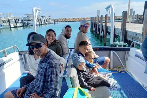 Whale Watching Boat Tour In Geraldton - Attractions Melbourne 1