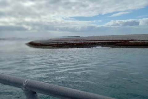 Abrolhos Islands Fishing Charter - Attractions Melbourne 6