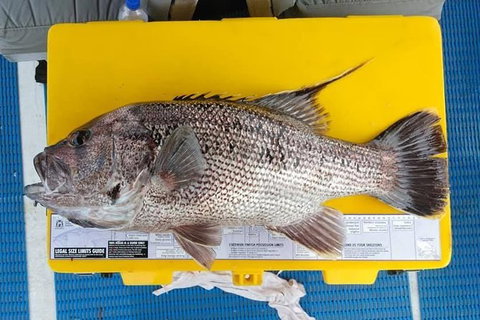 Abrolhos Islands Fishing Charter - Attractions Melbourne 2