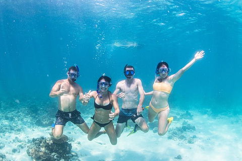 Full-Day Whale Sharks Swimming Experience On Ningaloo Reef - Attractions Melbourne 5