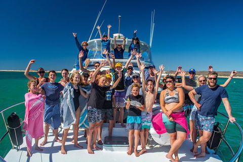 Full-Day Whale Sharks Swimming Experience On Ningaloo Reef - Attractions Melbourne 15