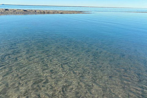 The Island Sandbar Experience - Attractions Melbourne 4