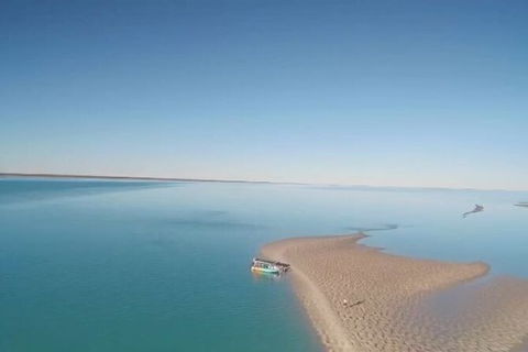 The Island Sandbar Experience - Attractions Melbourne 6