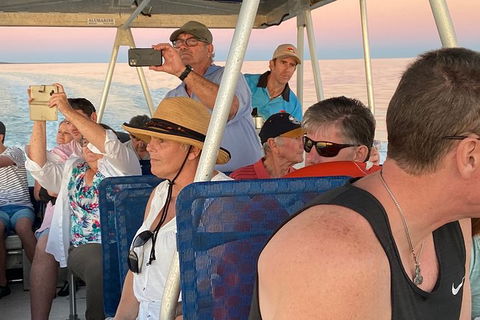 The Island Sandbar Experience - Attractions Melbourne 3