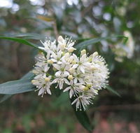 Booderee National Park - Attractions Melbourne