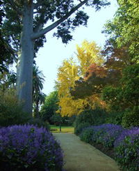 Book Albury Accommodation Vacations Attractions Melbourne Attractions Melbourne