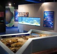 Marine and Freshwater Discovery Centre - Attractions Melbourne
