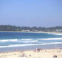Mollymook Surf Beach - Attractions Melbourne