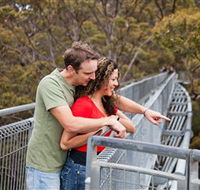 Valley of the Giants Tree Top Walk - Attractions Melbourne