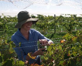 Kingsdale Wines - Attractions Melbourne 0