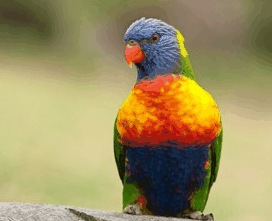 Booderee National Park - Attractions Melbourne 1